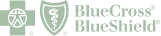 blue cross blue shield logo
